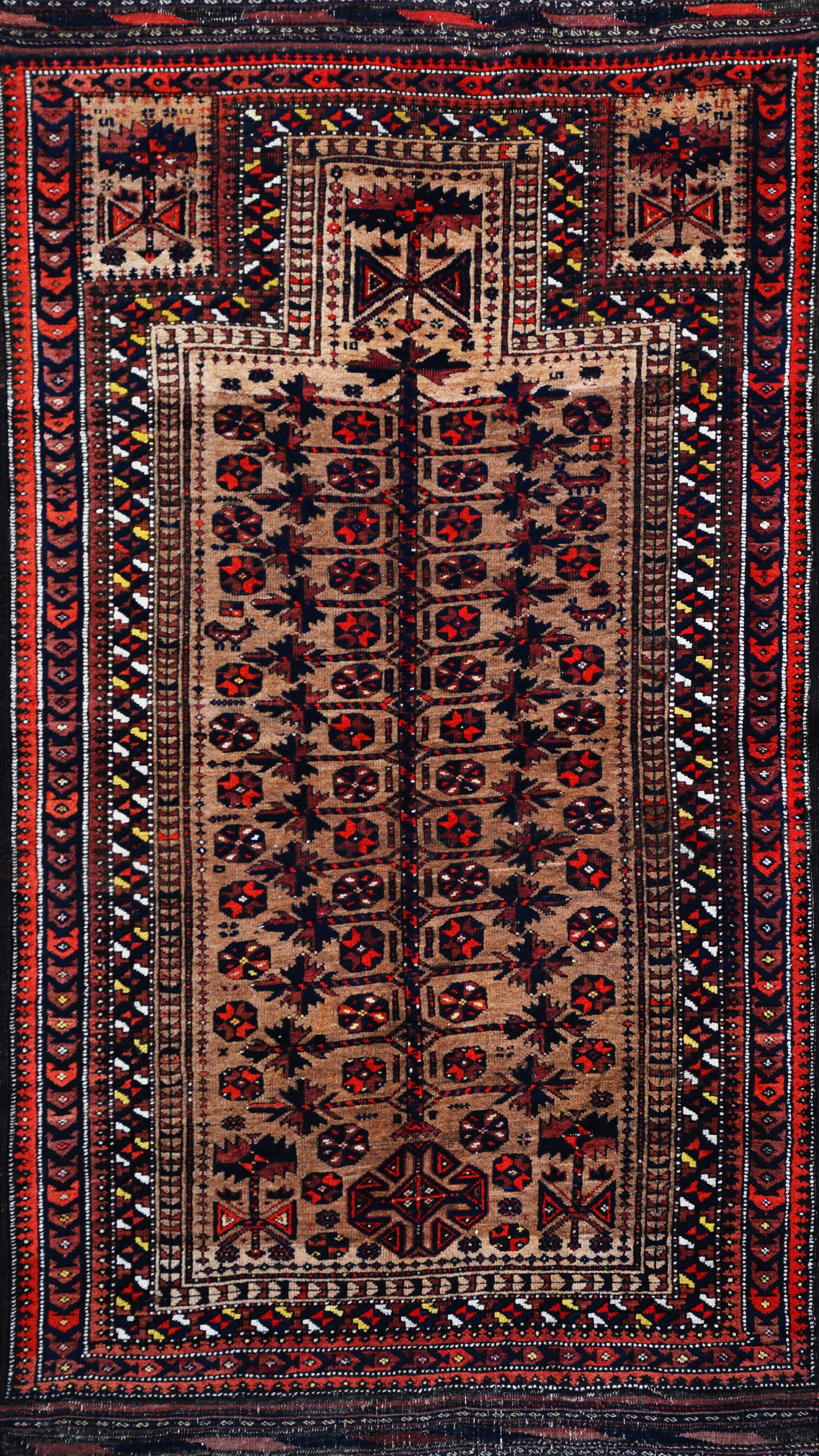 BELOUSH CARPET
