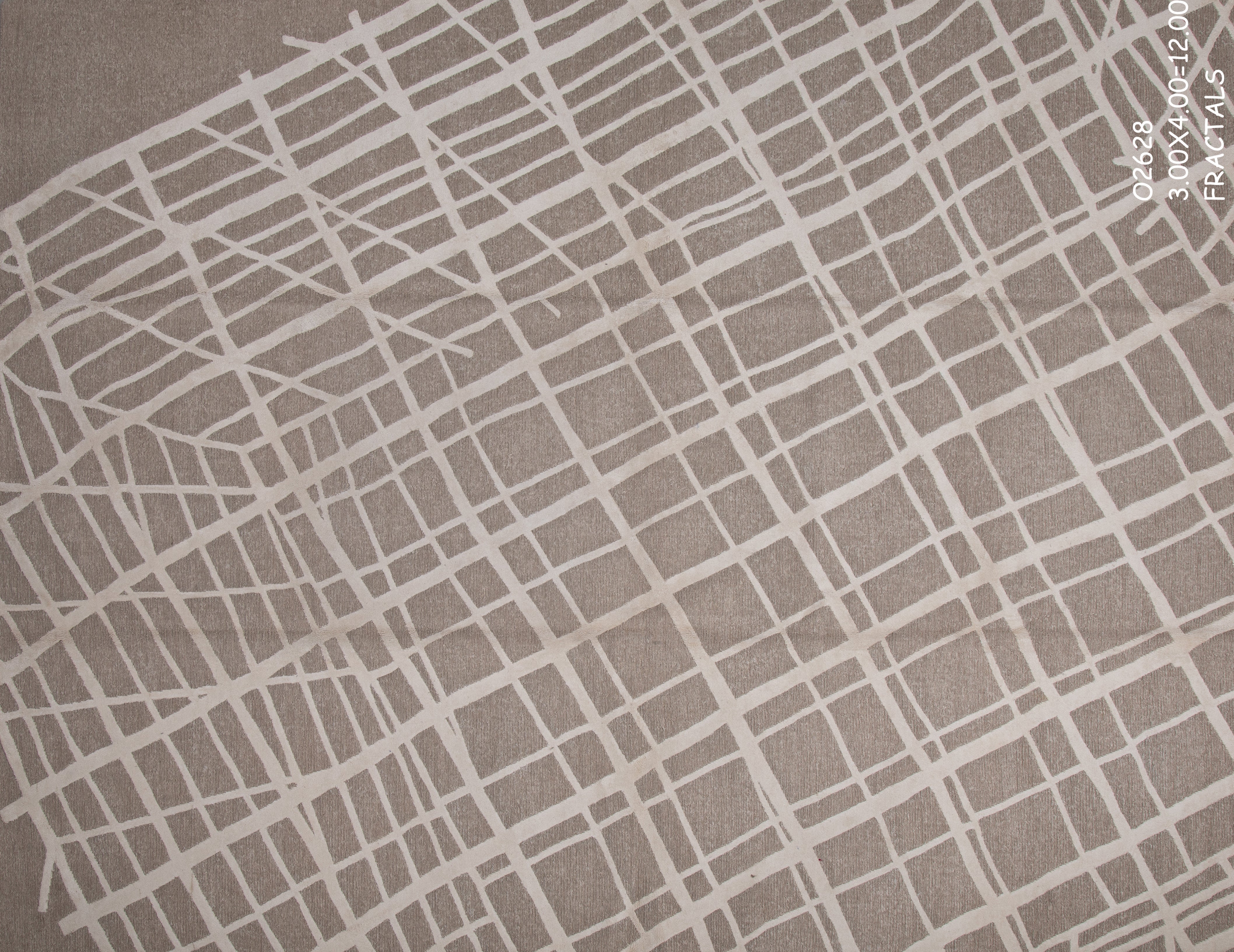 FRACTALS CARPET