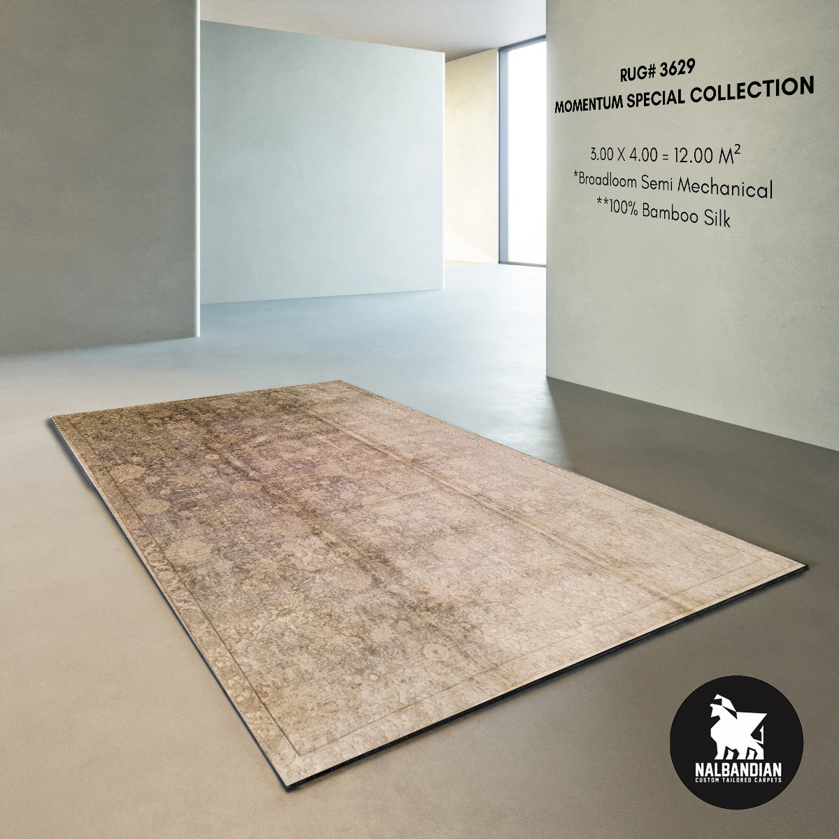 MOMENTUM SPECIAL CARPET