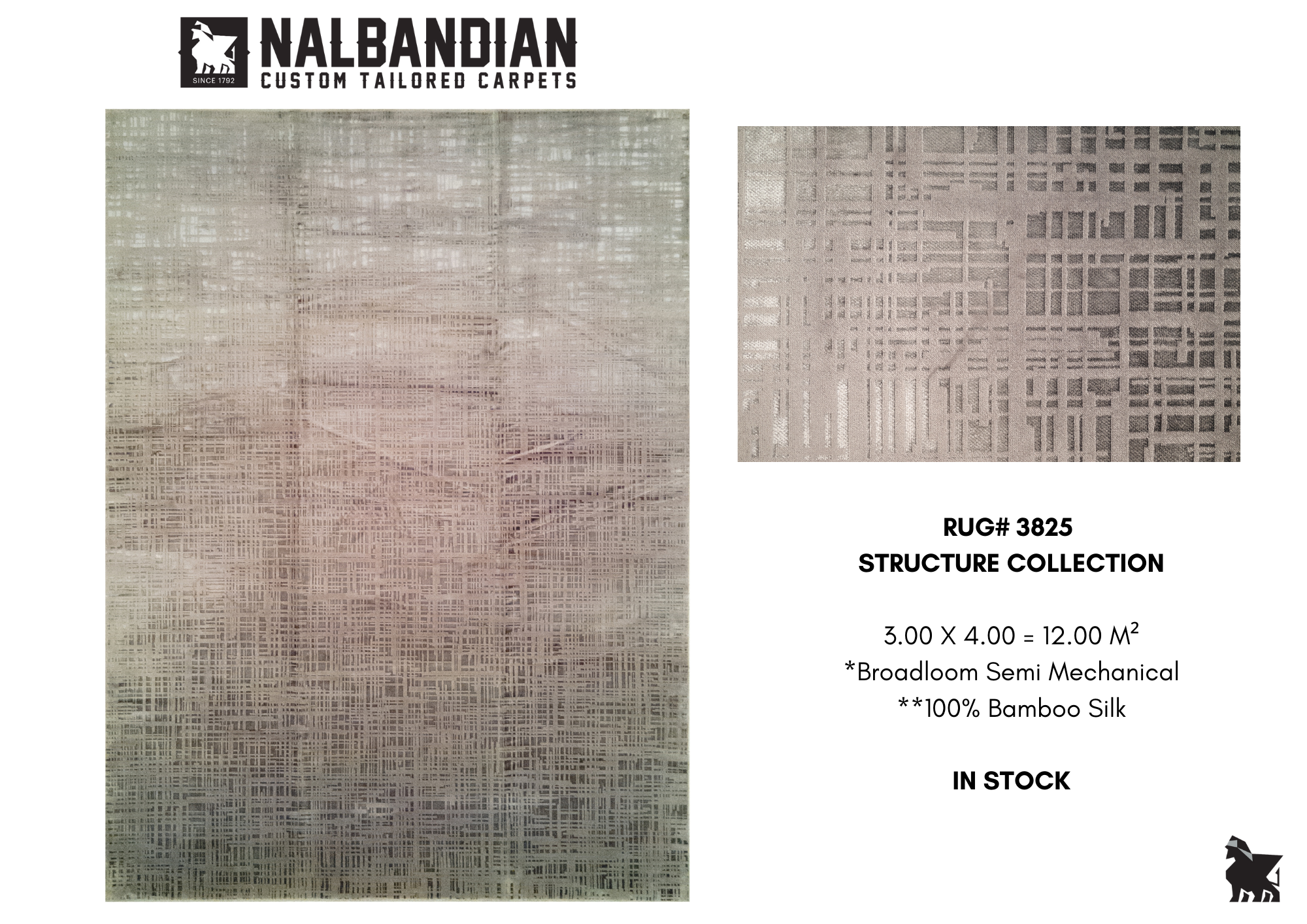 STRUCTURE CARPET