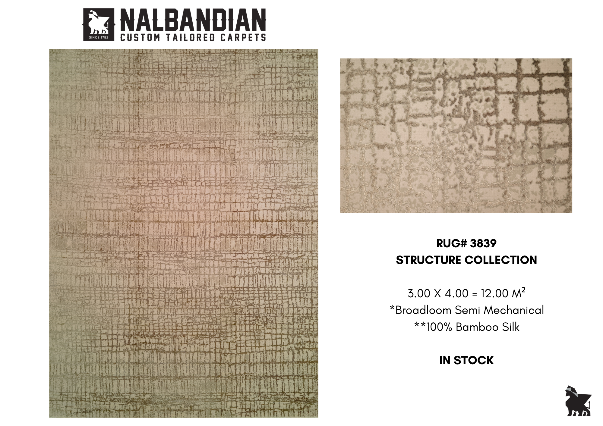 STRUCTURE CARPET