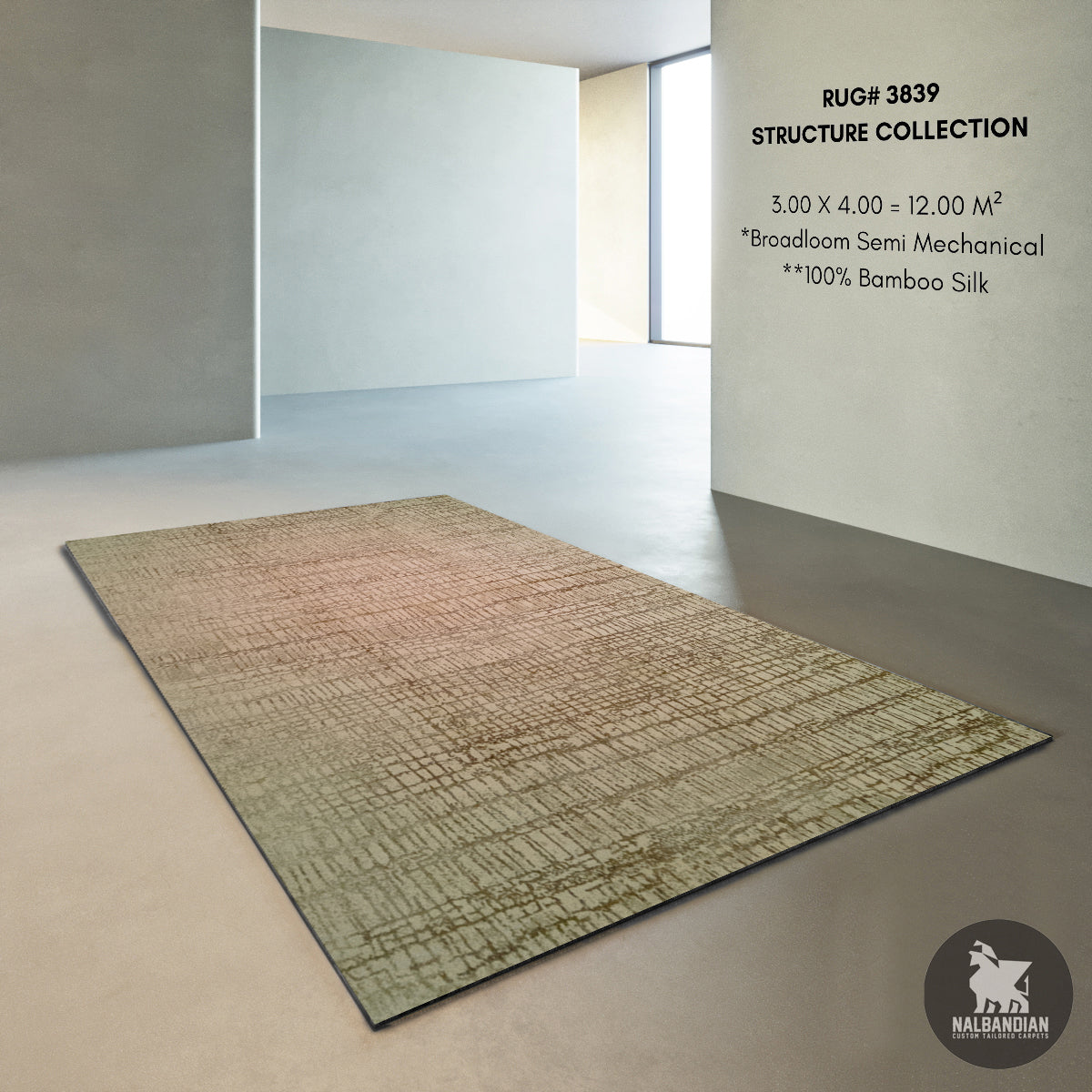 STRUCTURE CARPET